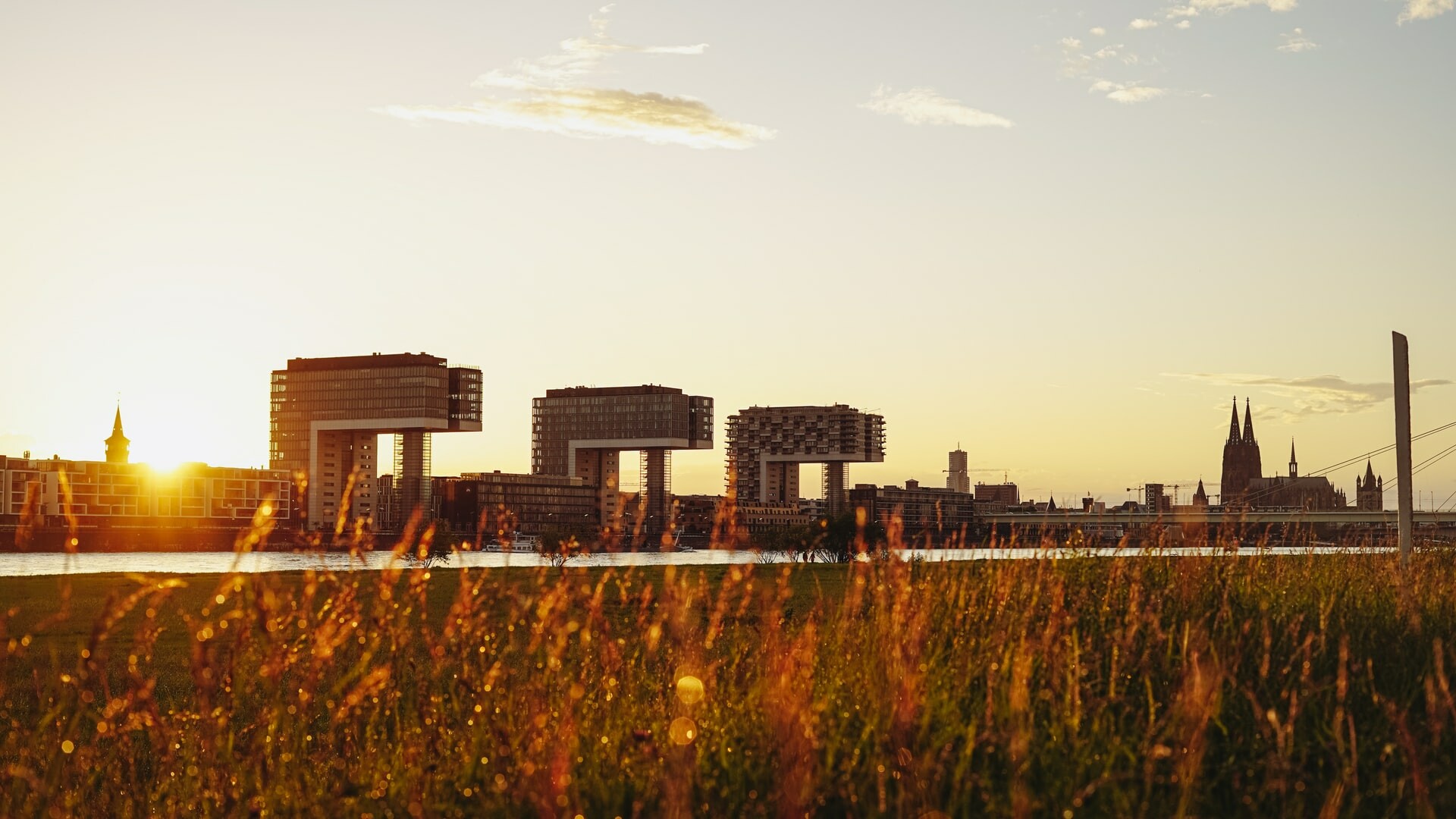 Top Aktivitäten in Köln im Sommer | Schäl sick | Mr. Köln | Foto: Valentin Bolder Top Aktivitäten in Köln im Sommer | Schäl sick | Mr. Köln | Foto: Valentin Bolder